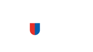 CANTON TICINO ECONOMIA WHITE LOGO 16