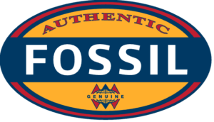 Copia di LOGO FOSSIL