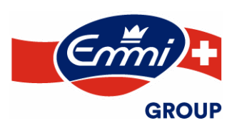 EMMI LOGO 16