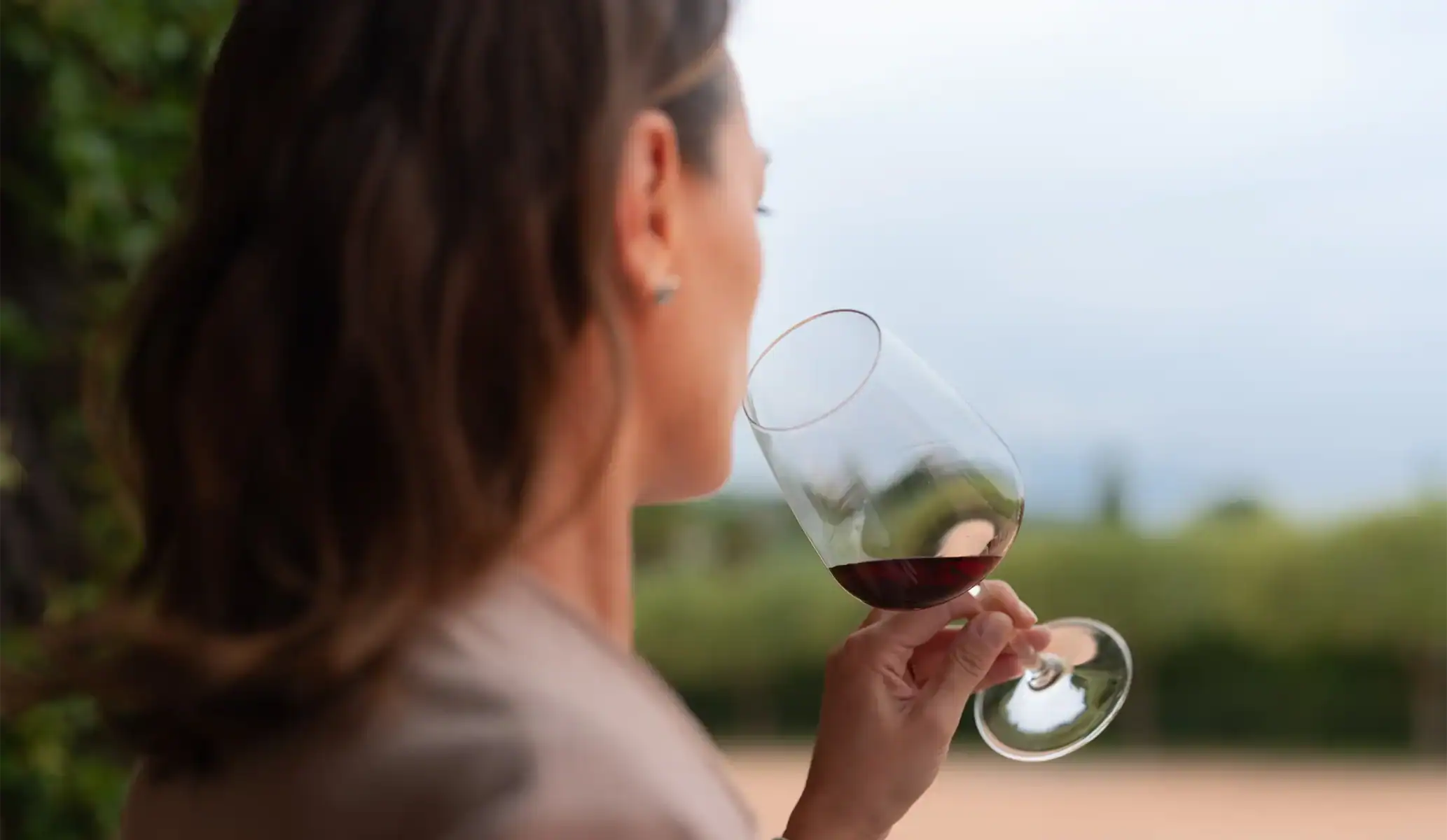 AI & Wine: Innovation in every sip